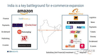 亚马逊在印度市场的策略调整
